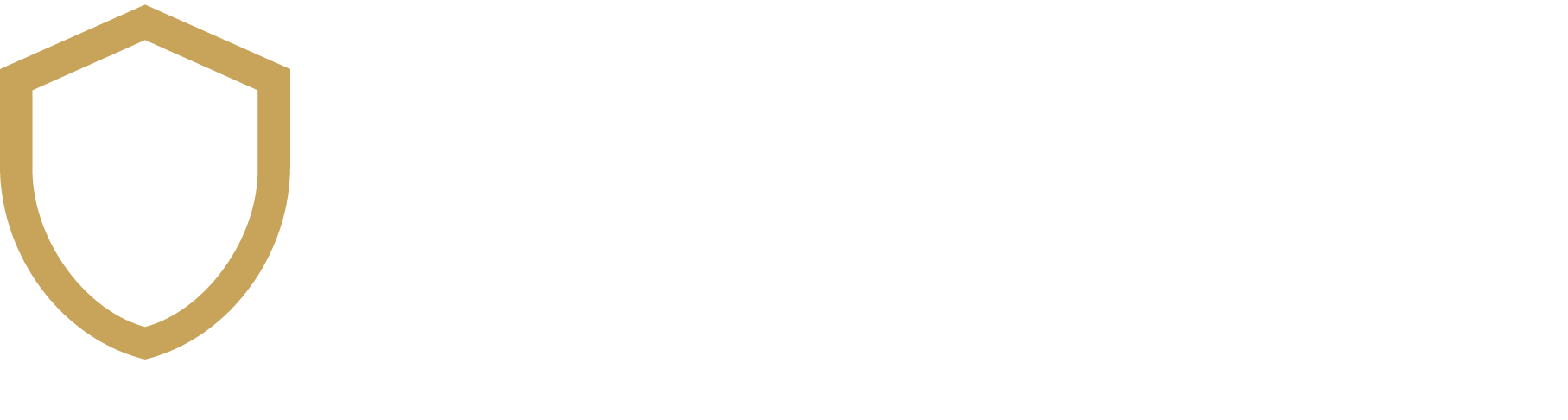 Ansvya